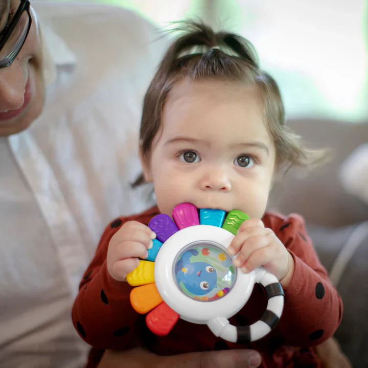 Baby Einstein Outstanding Opus Teether