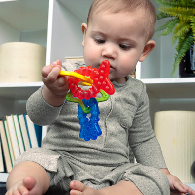 Baby Einstein Ocean Explorers Cool Critters Teether Toy Set