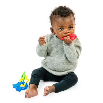 Baby Einstein Ocean Explorers Cool Critters Teether Toy Set