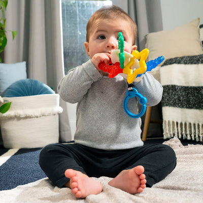 Baby Einstein Sea Sensory Teether Toy