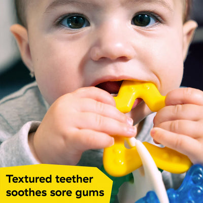 Baby Einstein Sea Sensory Teether Toy