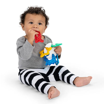 Baby Einstein Sea Sensory Teether Toy