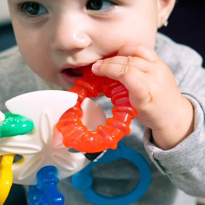 Baby Einstein Sea Sensory Teether Toy