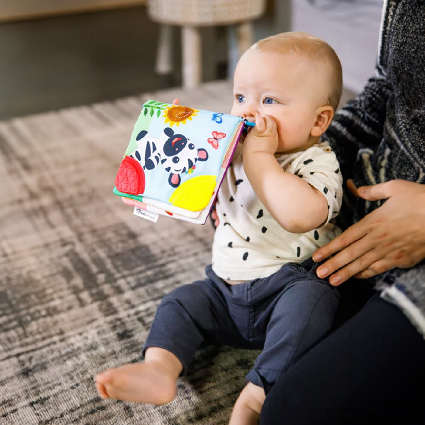 Baby Einstein Curious Explorers Teether Book