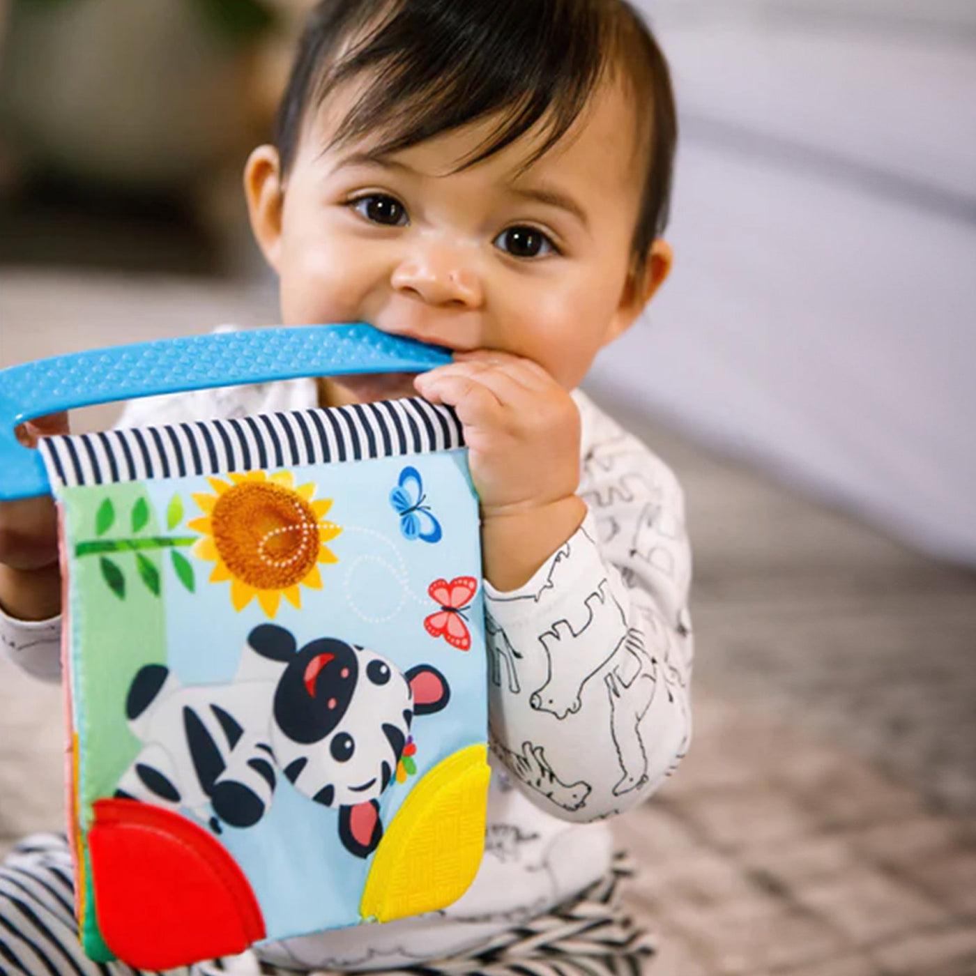 Baby Einstein Curious Explorers Teether Book