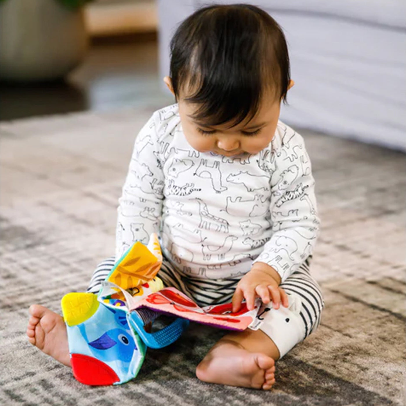 Baby Einstein Curious Explorers Teether Book