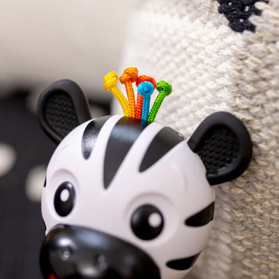 Baby Einstein Zen Rattle & Teether