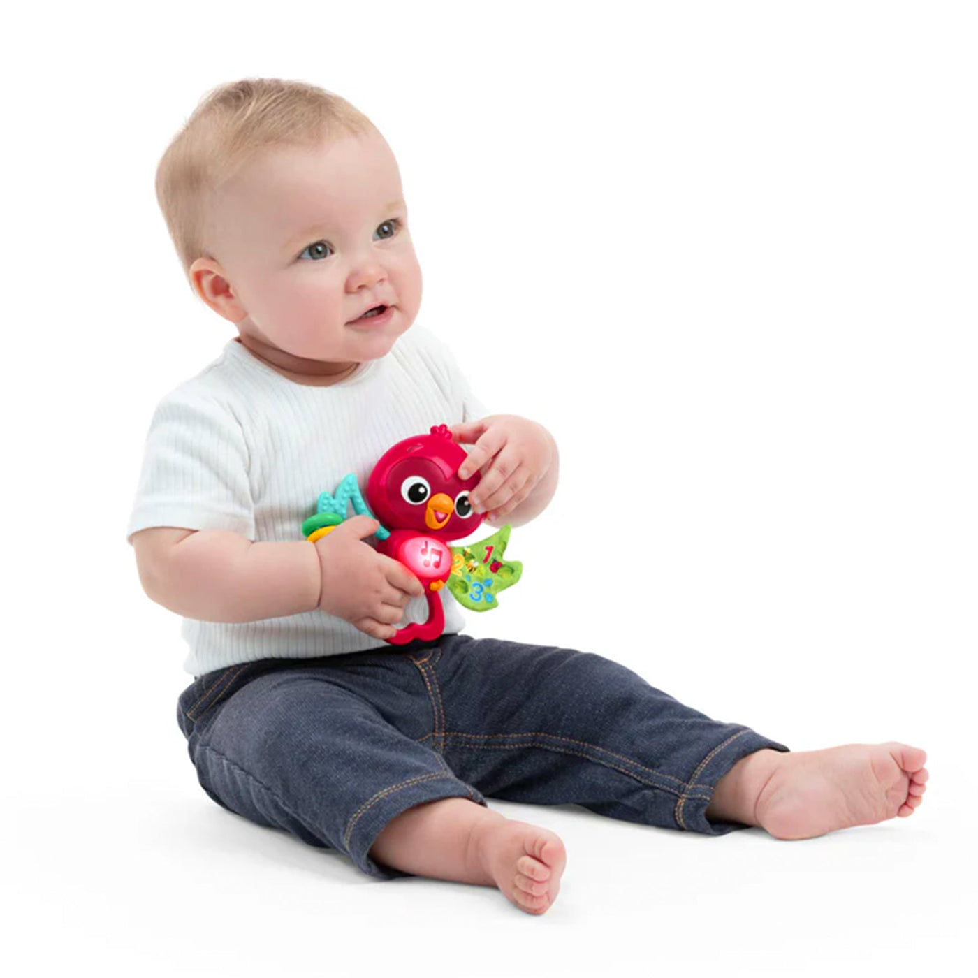 Baby Einstein Roxy Take-A-Long Pal