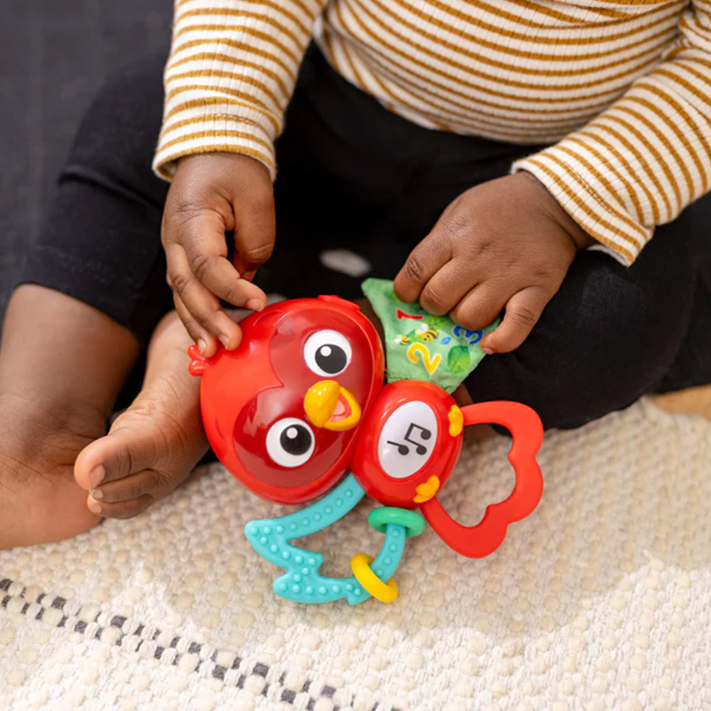 Baby Einstein Roxy Take-A-Long Pal