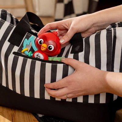 Baby Einstein Roxy Take-A-Long Pal