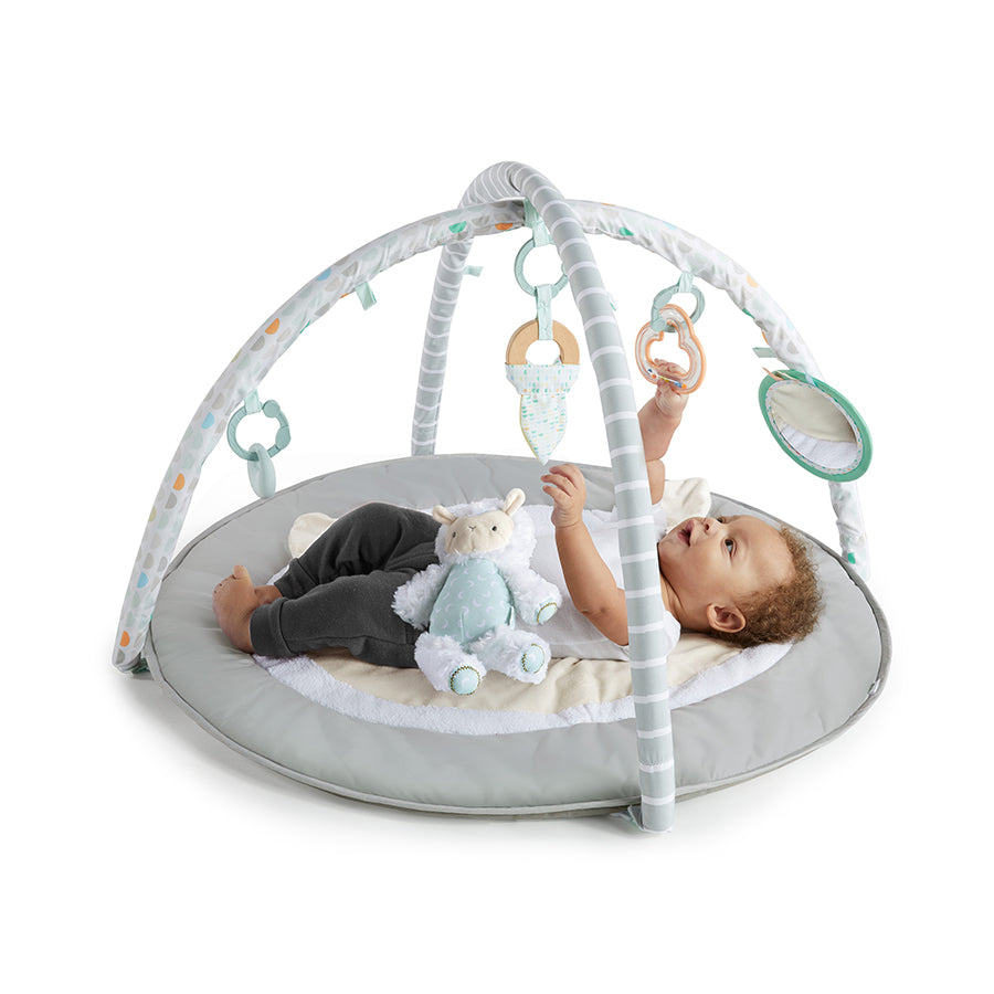 ING Sheppys Spot Plush Activity Gym