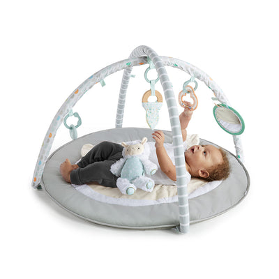 ING Sheppys Spot Plush Activity Gym